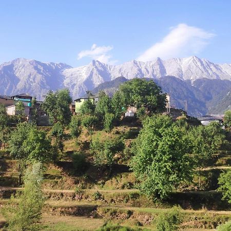 Mcleodganj Diaries Bed and Breakfast Νταραμσάλα Εξωτερικό φωτογραφία