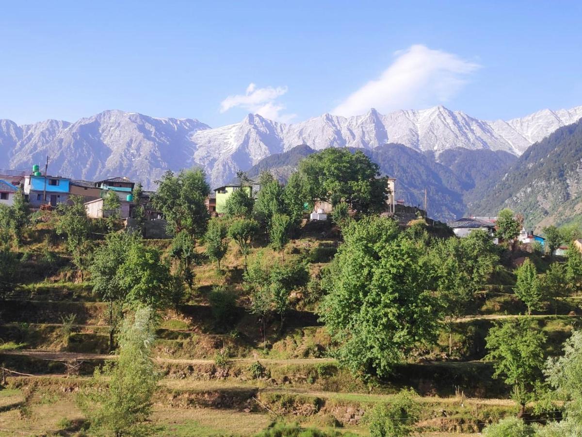 Mcleodganj Diaries Bed and Breakfast Νταραμσάλα Εξωτερικό φωτογραφία